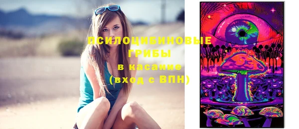 дживик Арсеньев