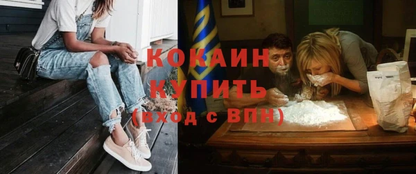 дживик Арсеньев