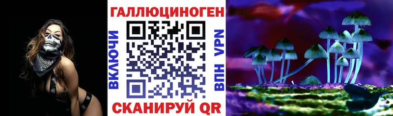 купить  сайты  Курлово  Галлюциногенные грибы Psilocybe 